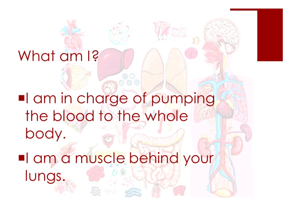 What am I? I am in charge of pumping the blood to the whole